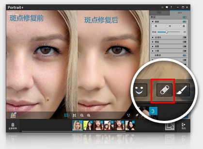 ArcSoft Portrait+ 人物磨皮软件