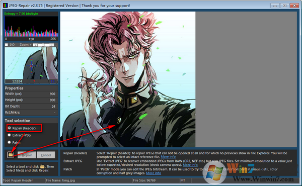 照片修复工具JPEG-Repair v2.8.7.5绿色版