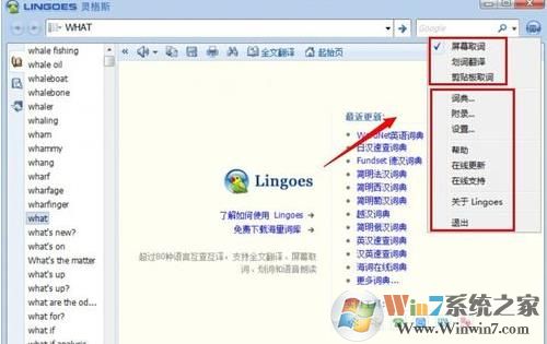 灵格斯词霸(Lingoes)截图