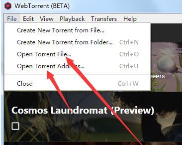 webtorrent下载_webtorrent BT种子播放器 V0.21.0.1 绿色版