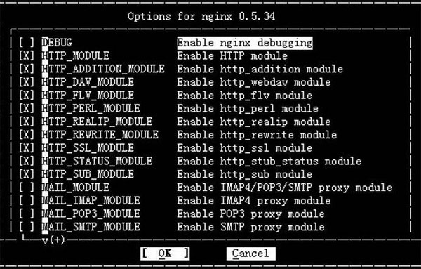 Nginx