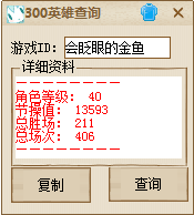 300英雄战绩查询器