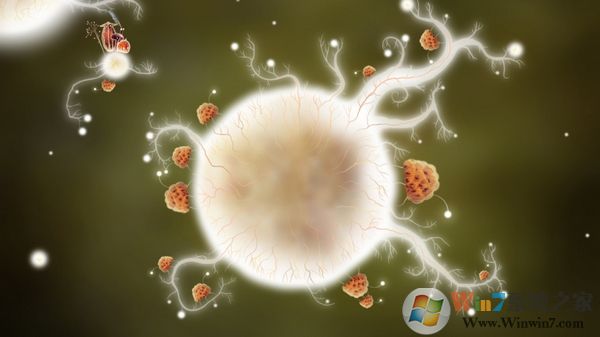 植物精灵(Botanicula)冒险游戏 电脑中文版