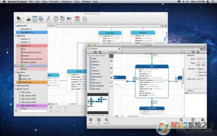 Navicat Premium mac版