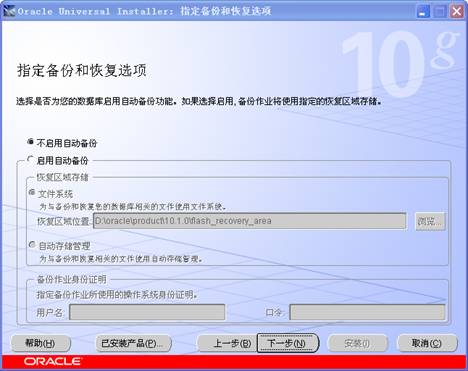 oracle 10g软件