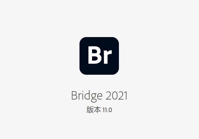 Adobe 2021最新版全家桶一键安装版下载-13