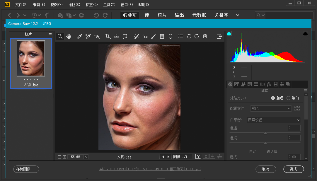 Adobe Bridge 2021 (11.0.0.83.000) 特别版