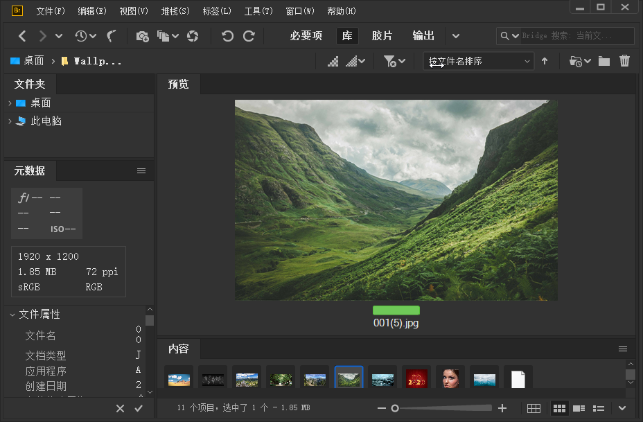 Adobe Bridge 2021 (11.0.0.83.000) 特别版