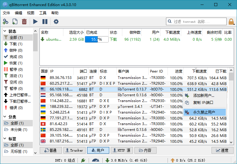 BT下载利器qBittorrent 4.3.3.10 绿色增强版