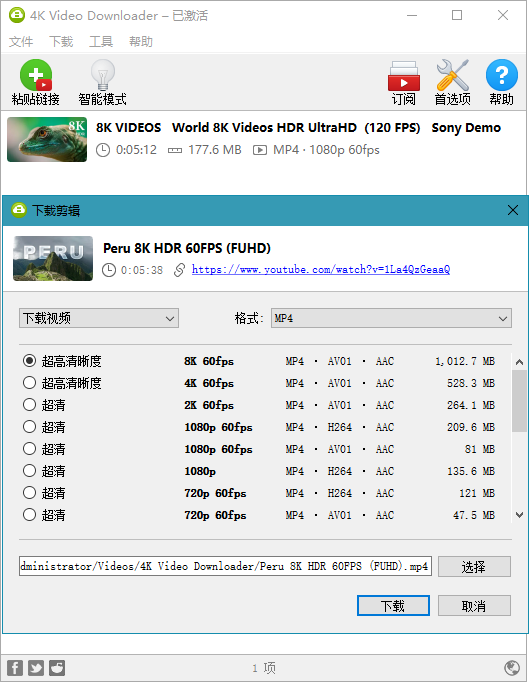 4K Video Downloader v4.12.5 绿色特别版