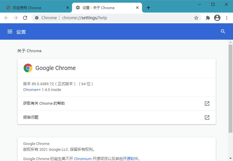 Google Chrome v89.0.4389.82 官方正式版