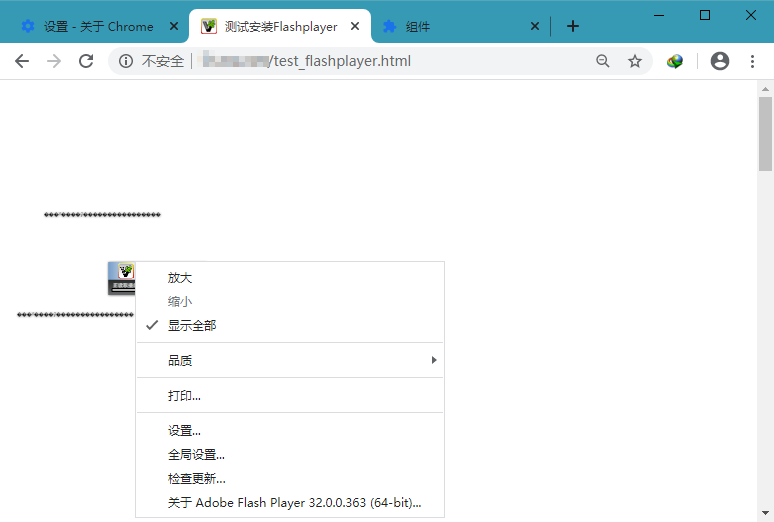 Google Chrome 83.0.4103.116 绿色增强版