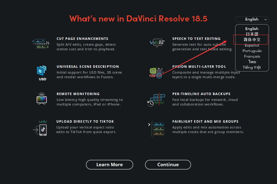 DaVinci Resolve Studio 18.5免费版下载+安装教程-10
