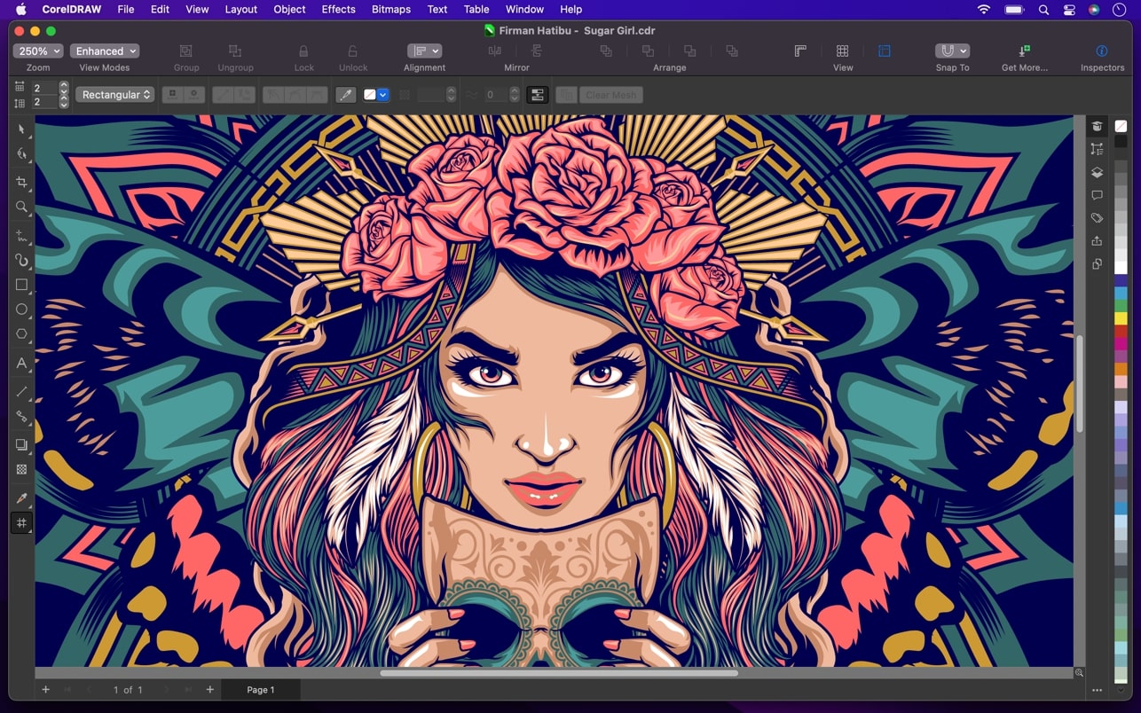 CorelDRAW Graphics Suite 2023 For Mac v24.5.0.731 CDR中文版