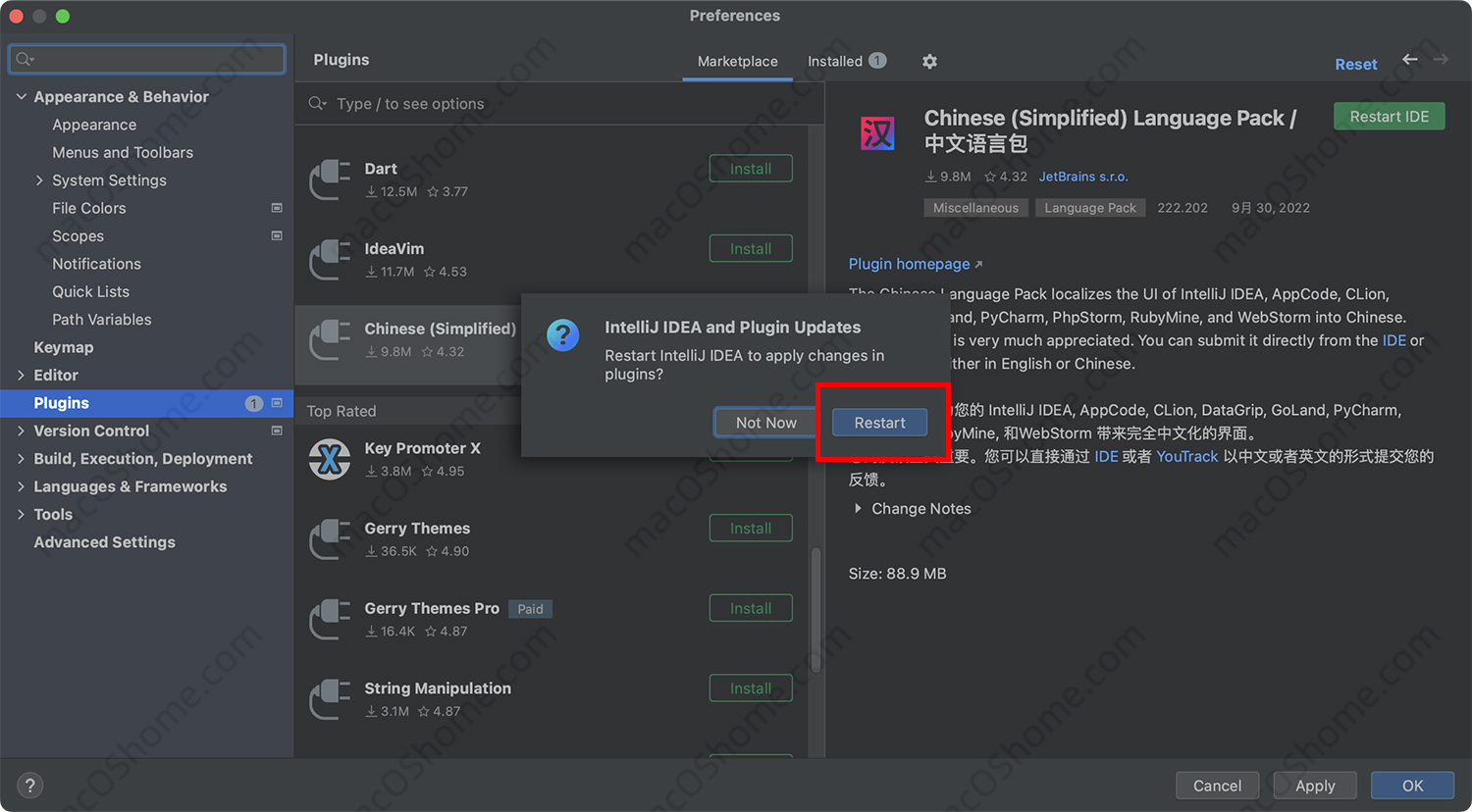 JetBrains IntelliJ IDEA 2022-2023中文安装切换保姆级别教程