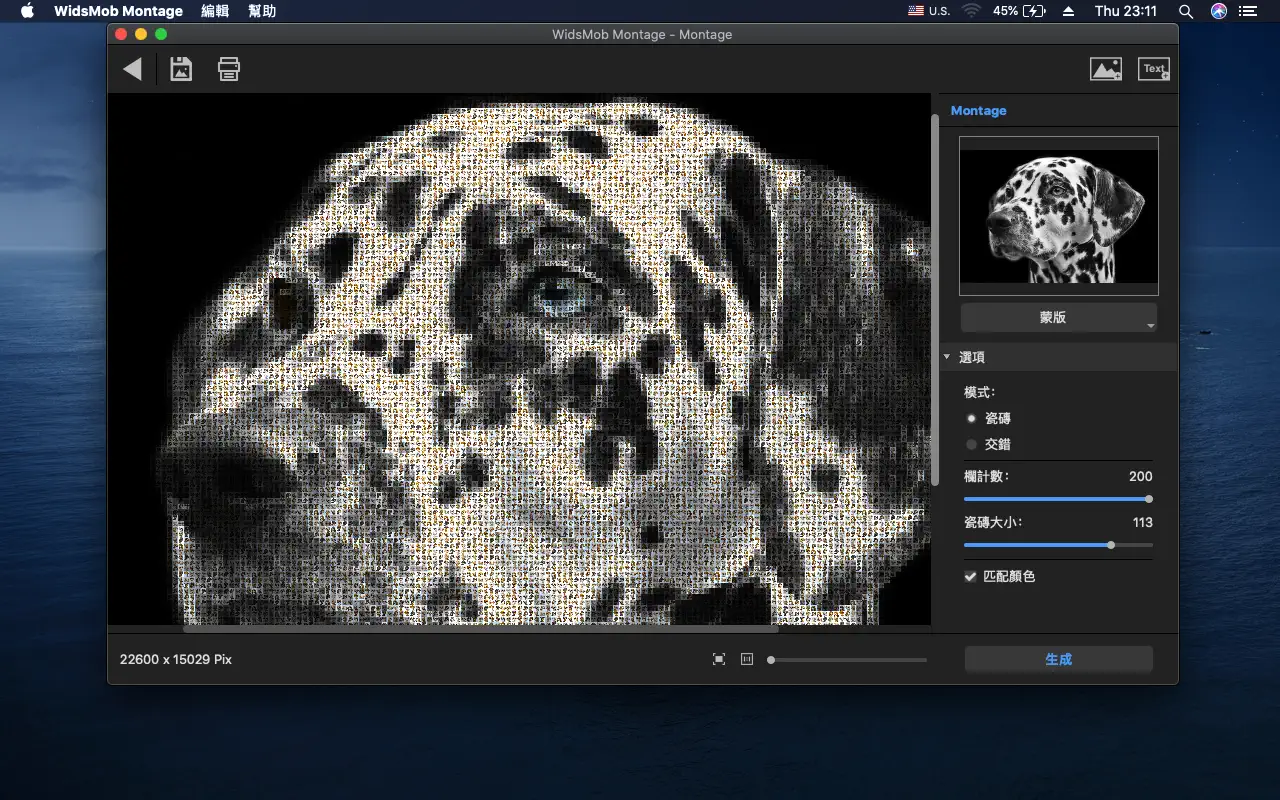 WidsMob Montage For Mac v2.26 马赛克照片拼贴制作软件