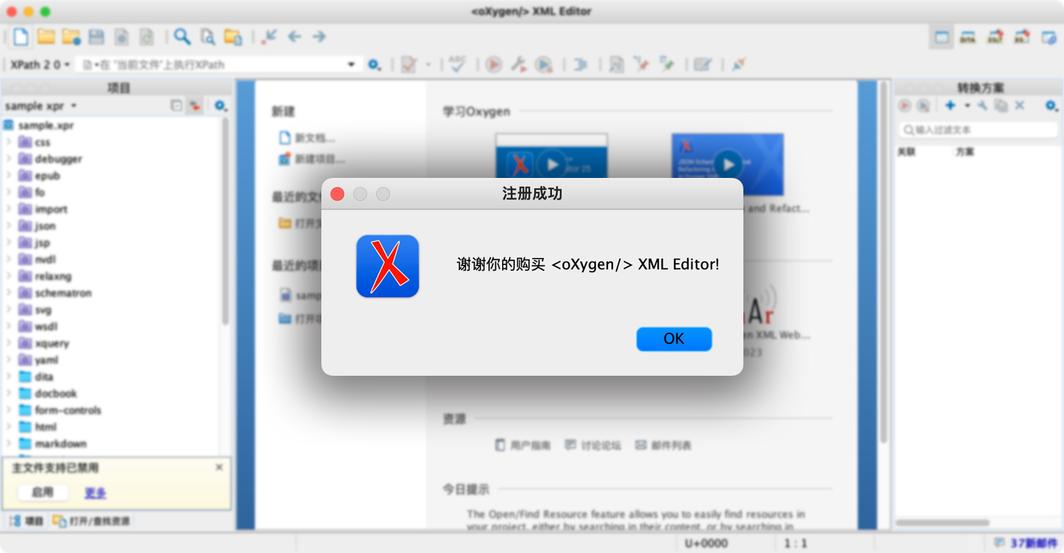 Oxygen XML Editor For Mac v25 XML编辑器中文版