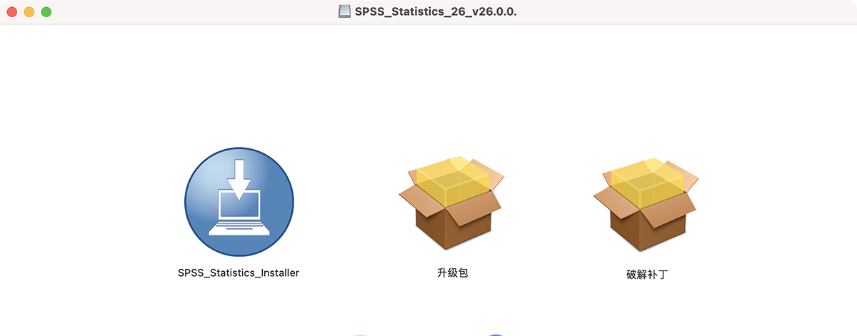 IBM SPSS Statistics for Mac v26.0.0.2 统计分析软件 中文版