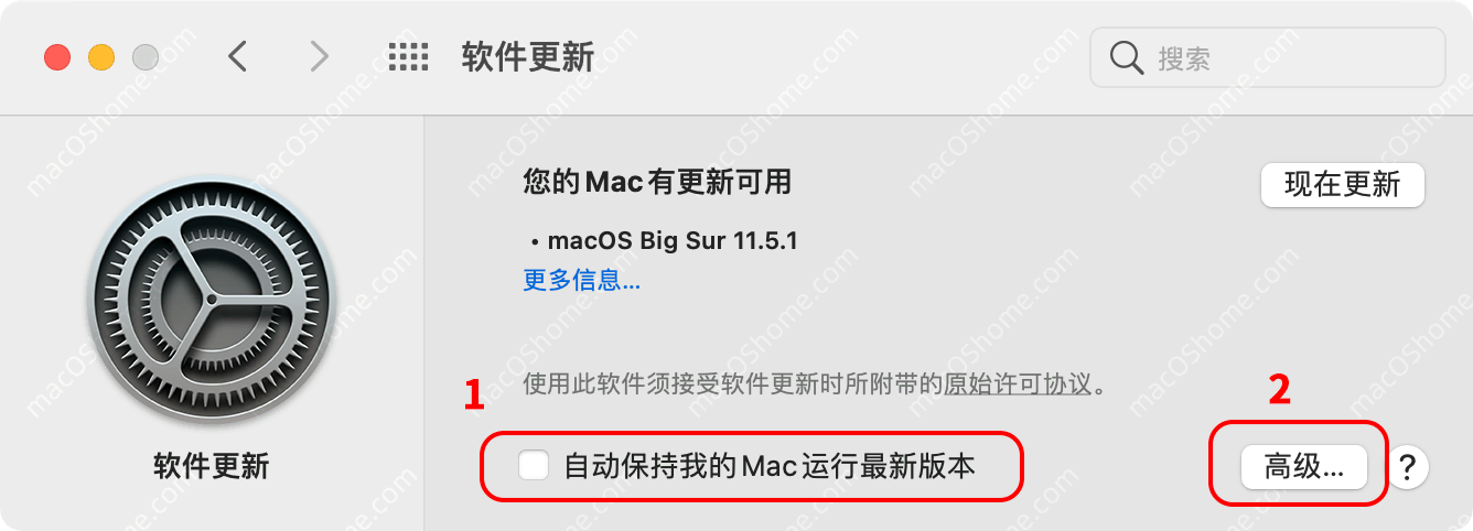 关闭macOS Big Sur系统自动更新和去除更新红点角标