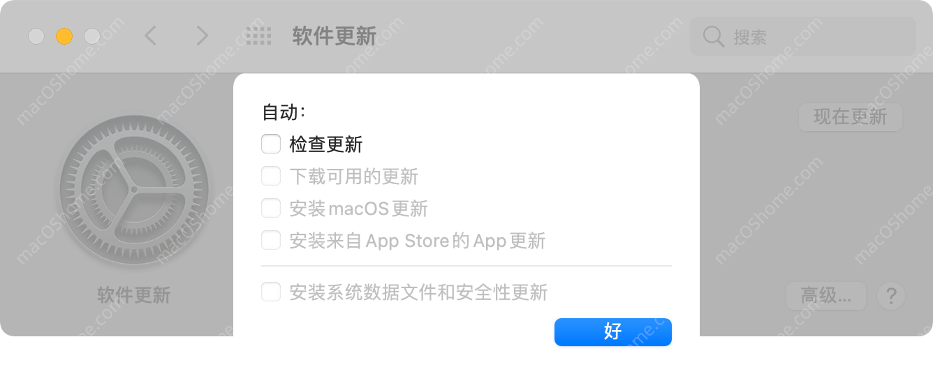 关闭macOS Big Sur系统自动更新和去除更新红点角标