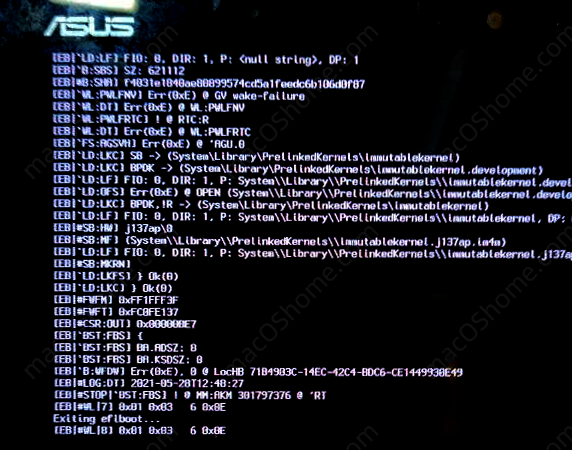 [EB|#WL|7] 0x01 0x03 6 0x0E Exiting efiboot… 报错无法进入系统