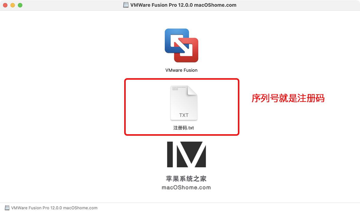 VMWare Fusion Pro 12 虚拟机中文版(带序列号) 支持Big Sur