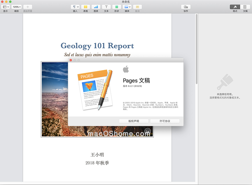 Pages 文稿 10.0 最新免激活版